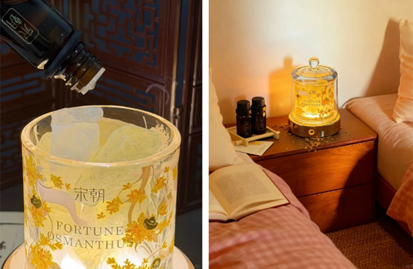 699d6fac87807.jpg 699d6fac87807.jpg